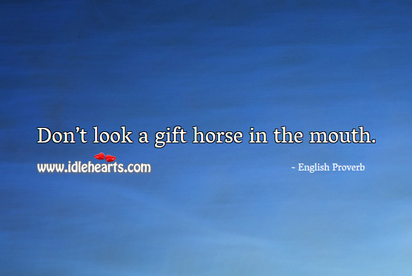 Don’t look a gift horse in the mouth. Image