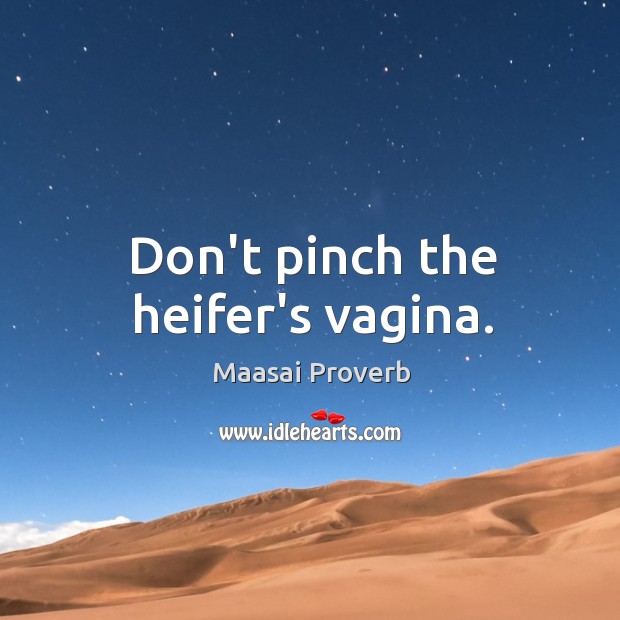 Don’t pinch the heifer’s vagina. Image
