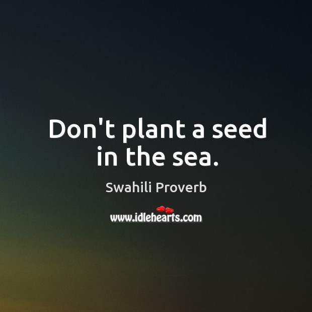 Don’t plant a seed in the sea. Swahili Proverbs Image