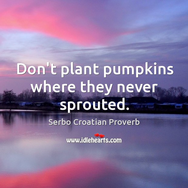 Don’t plant pumpkins where they never sprouted. Serbo Croatian Proverbs Image