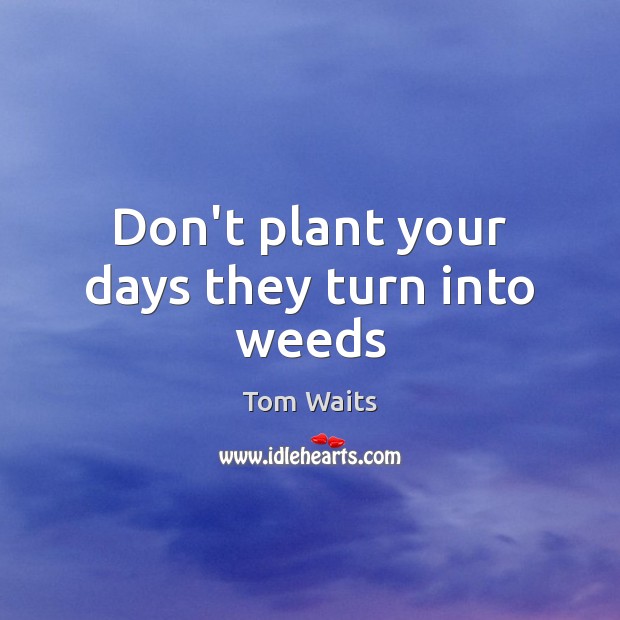 Don’t plant your days they turn into weeds Image