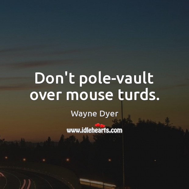 Don’t pole-vault over mouse turds. Wayne Dyer Picture Quote