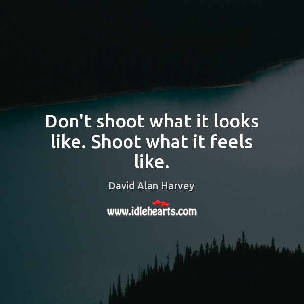 Don’t shoot what it looks like. Shoot what it feels like. David Alan Harvey Picture Quote
