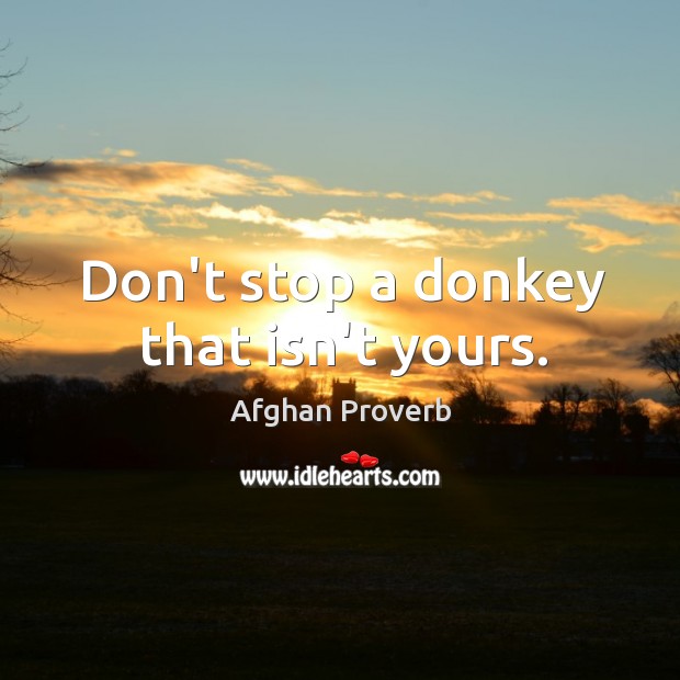 Don’t stop a donkey that isn’t yours. Afghan Proverbs Image