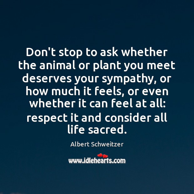 Don’t stop to ask whether the animal or plant you meet deserves Albert Schweitzer Picture Quote