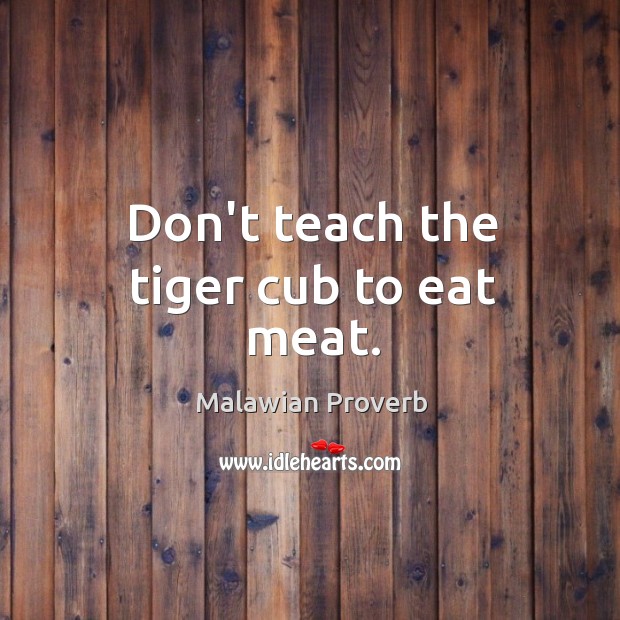 Don’t teach the tiger cub to eat meat. Malawian Proverbs Image