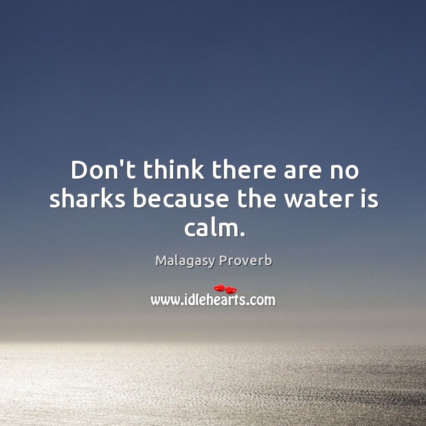 Don’t think there are no sharks because the water is calm. Malagasy Proverbs Image
