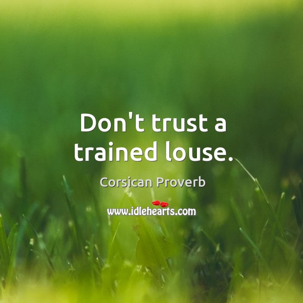 Don’t trust a trained louse. Corsican Proverbs Image