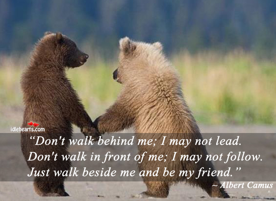 Don’t walk behind me, I may not lead. Albert Camus Picture Quote