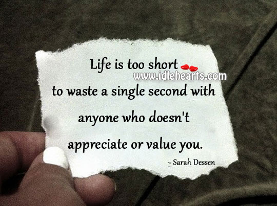 Life is too short to waste a single second Sarah Dessen Picture Quote
