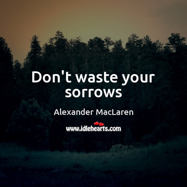 Don’t waste your sorrows Alexander MacLaren Picture Quote