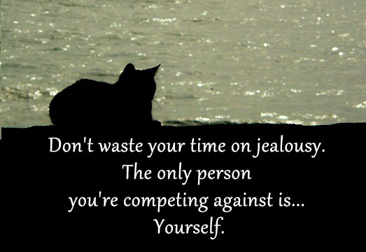 Don’t waste your time on jealousy. 