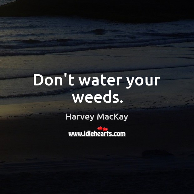 Don’t water your weeds. Harvey MacKay Picture Quote