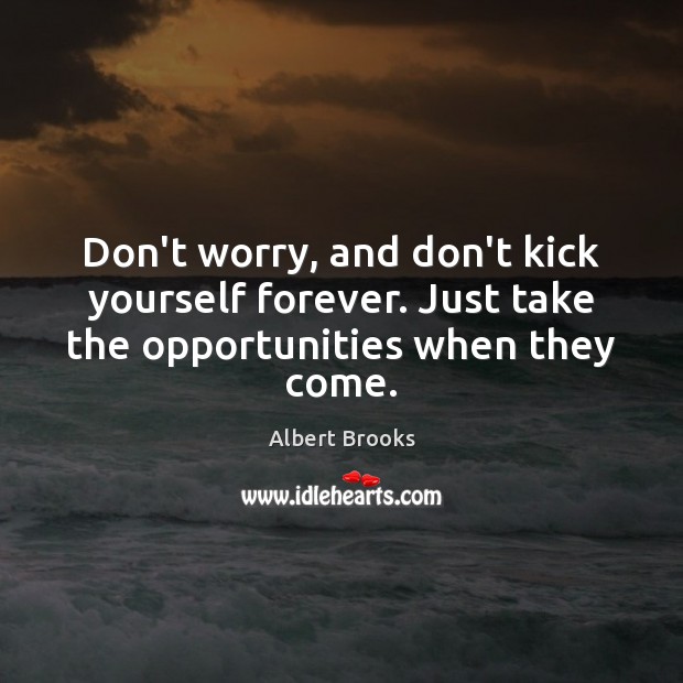 Don’t worry, and don’t kick yourself forever. Just take the opportunities when they come. Albert Brooks Picture Quote