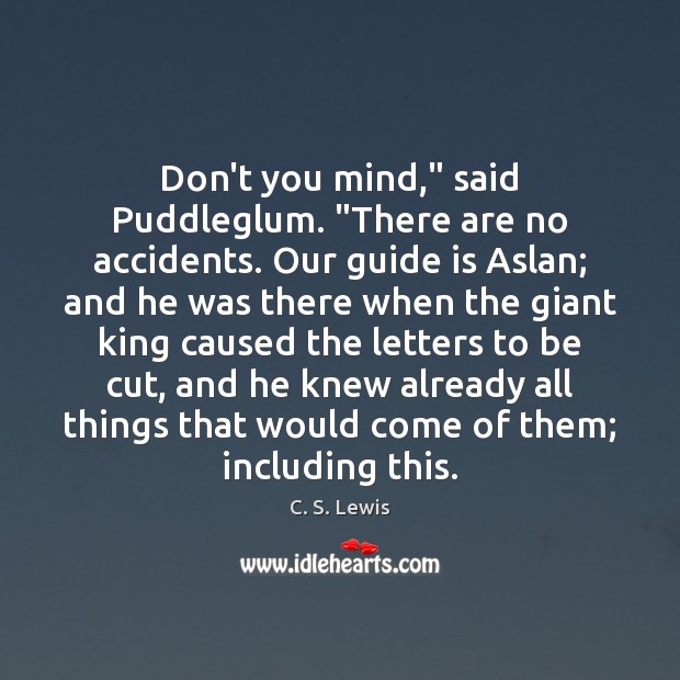 Don’t you mind,” said Puddleglum. “There are no accidents. Our guide is Image