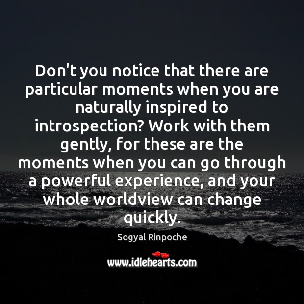 Don’t you notice that there are particular moments when you are naturally Sogyal Rinpoche Picture Quote