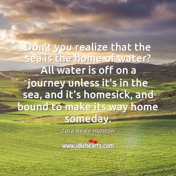 Don’t you realize that the sea is the home of water? All Zora Neale Hurston Picture Quote
