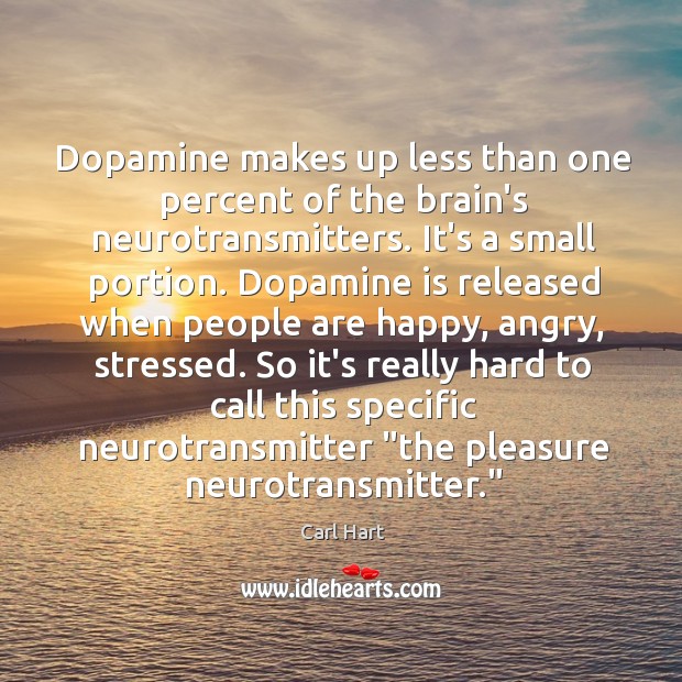 Dopamine makes up less than one percent of the brain’s neurotransmitters. It’s Image