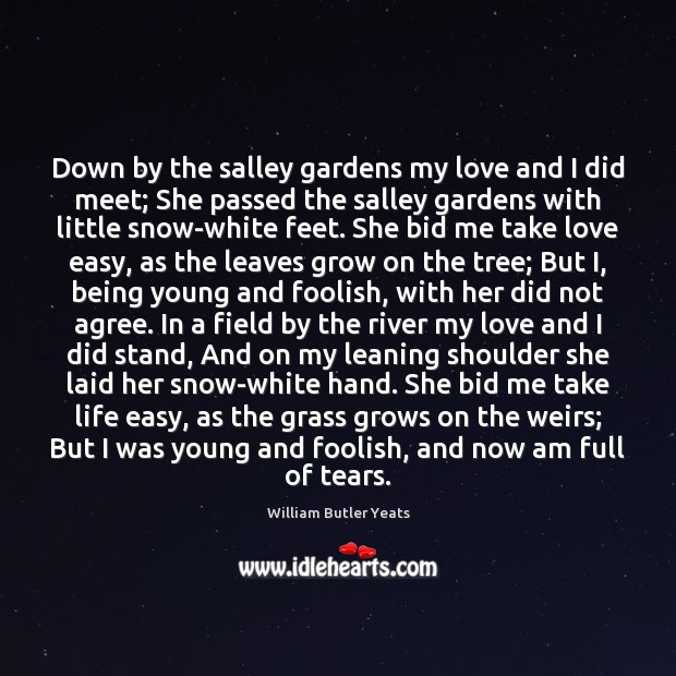 Down by the salley gardens my love and I did meet; She Image