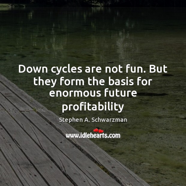 Down cycles are not fun. But they form the basis for enormous future profitability Stephen A. Schwarzman Picture Quote