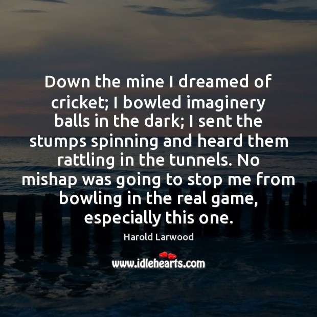Down the mine I dreamed of cricket; I bowled imaginery balls in Image