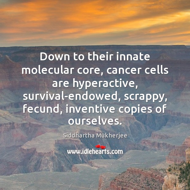 Down to their innate molecular core, cancer cells are hyperactive, survival-endowed, scrappy, Image