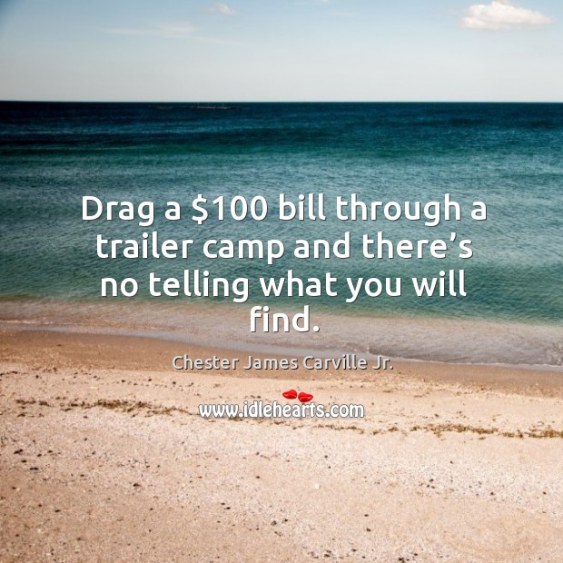 Drag a $100 bill through a trailer camp and there’s no telling what you will find. Chester James Carville Jr. Picture Quote