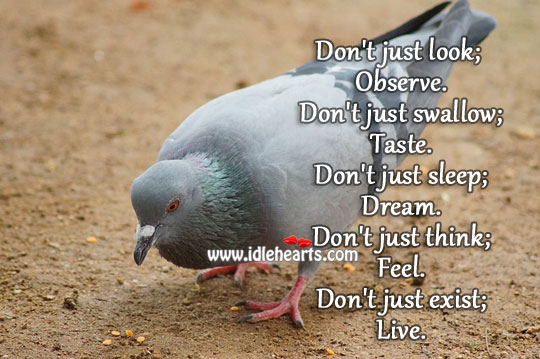 Words to live by Life Quotes Image