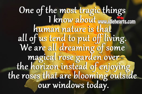 Dreaming of some magical rose garden Dreaming Quotes Image