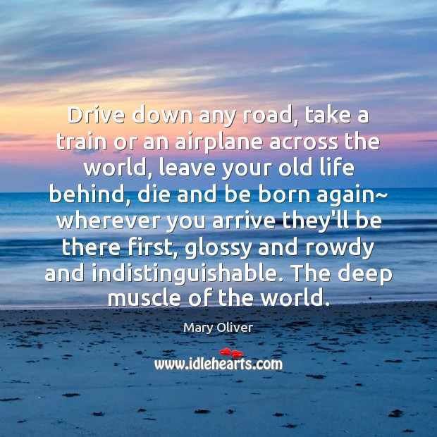 Drive down any road, take a train or an airplane across the Mary Oliver Picture Quote