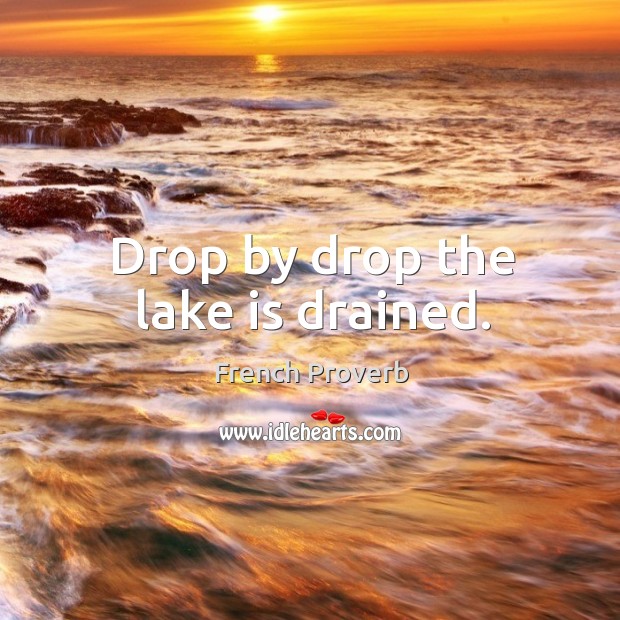 Drop by drop the lake is drained. French Proverbs Image