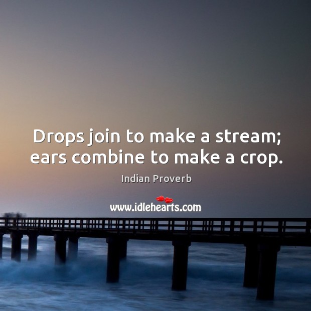 Drops join to make a stream; ears combine to make a crop. Indian Proverbs Image