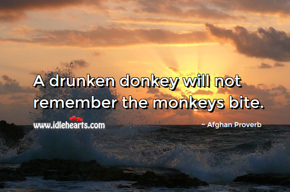 A drunken donkey will not remember the monkeys bite. Afghan Proverbs Image