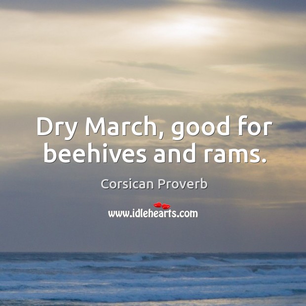 Dry march, good for beehives and rams. Image