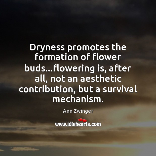 Dryness promotes the formation of flower buds…flowering is, after all, not Ann Zwinger Picture Quote