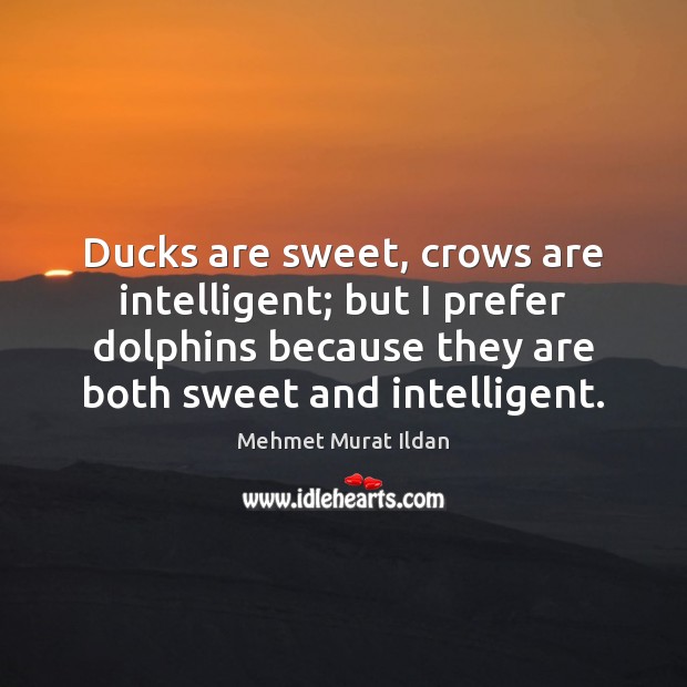 Ducks are sweet, crows are intelligent; but I prefer dolphins because they Image