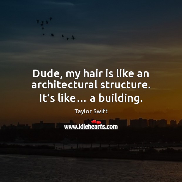 Dude, my hair is like an architectural structure. It’s like… a building. 