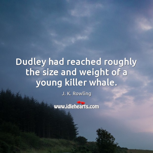 Dudley had reached roughly the size and weight of a young killer whale. Image