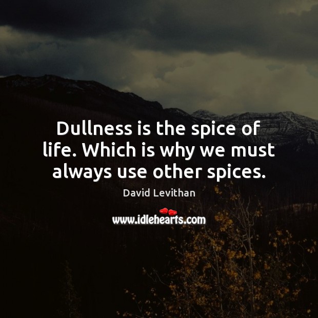 Dullness is the spice of life. Which is why we must always use other spices. David Levithan Picture Quote