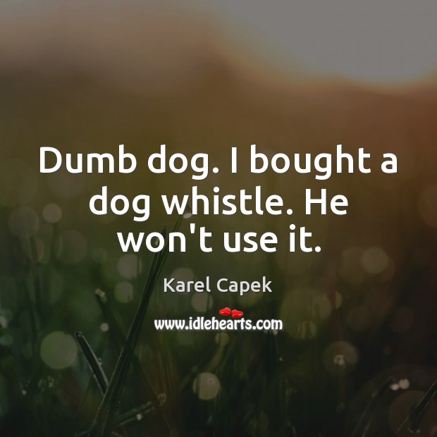 Dumb dog. I bought a dog whistle. He won’t use it. Karel Capek Picture Quote