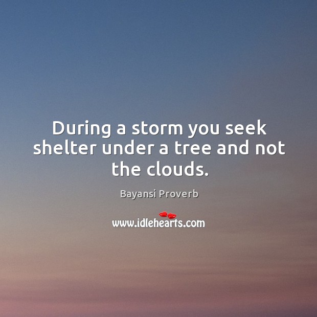During a storm you seek shelter under a tree and not the clouds. Bayansi Proverbs Image