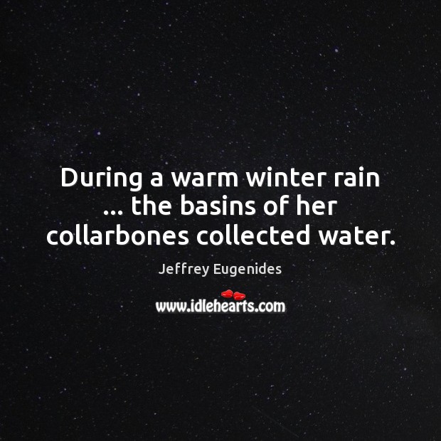 During a warm winter rain … the basins of her collarbones collected water. Jeffrey Eugenides Picture Quote