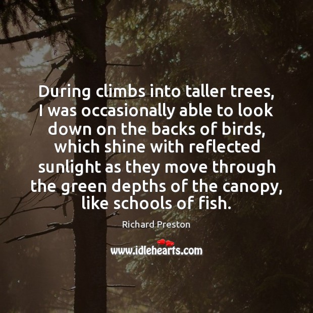 During climbs into taller trees, I was occasionally able to look down Richard Preston Picture Quote
