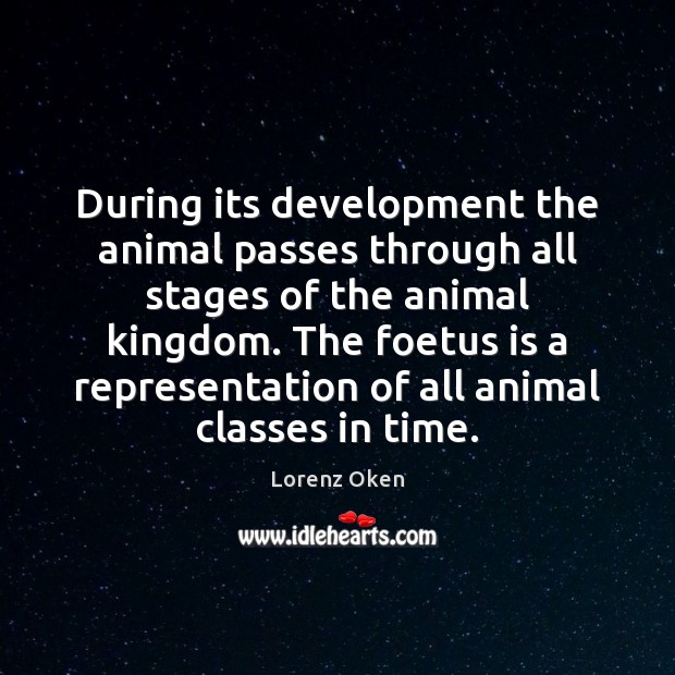 During its development the animal passes through all stages of the animal Image
