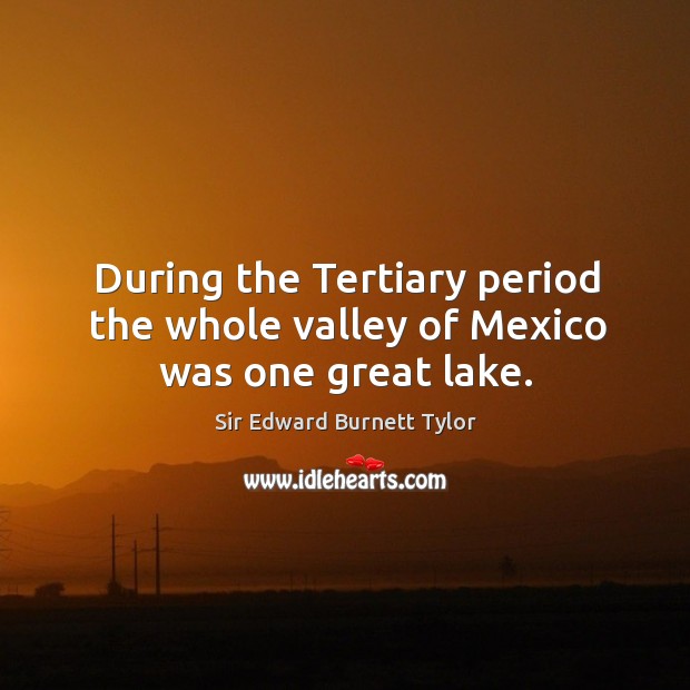 During the tertiary period the whole valley of mexico was one great lake. Sir Edward Burnett Tylor Picture Quote