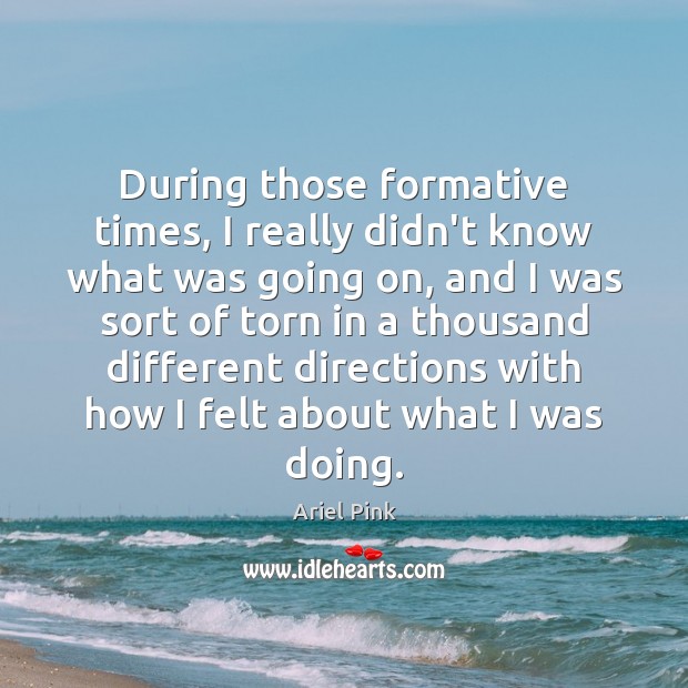 During those formative times, I really didn’t know what was going on, Ariel Pink Picture Quote