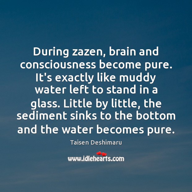 During zazen, brain and consciousness become pure. It’s exactly like muddy water Image