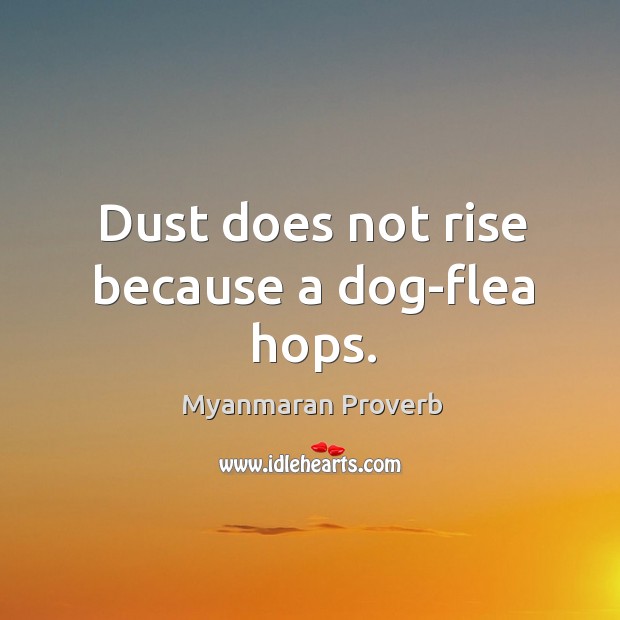 Dust does not rise because a dog-flea hops. Myanmaran Proverbs Image