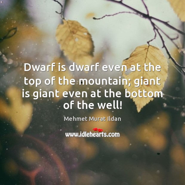 Dwarf is dwarf even at the top of the mountain; giant is Image