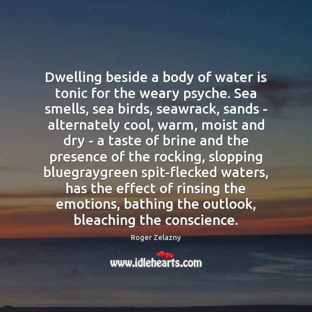 Dwelling beside a body of water is tonic for the weary psyche. Image